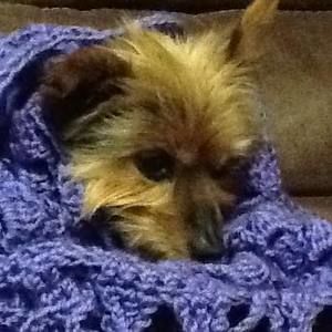 Meet your Posher, Katherine